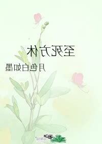 至死方休 月色白如墨